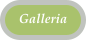 Galleria